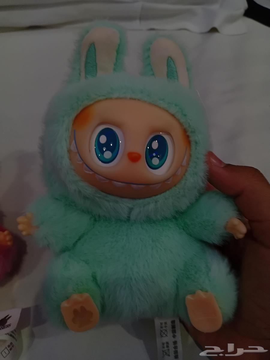 لابوبو للبيع64244076598658111