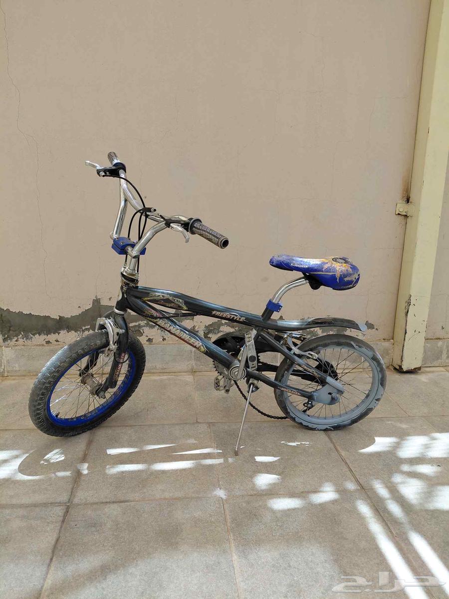 Cycle64242102822529113