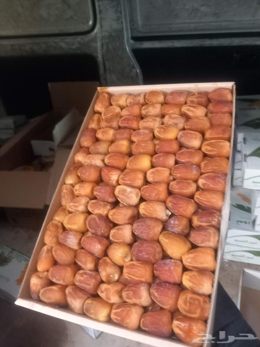 مفتل سكري وجالكسي ملكي64245982491266110