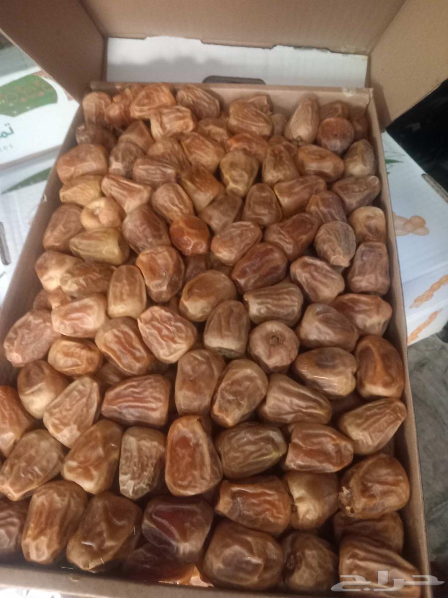 مفتل سكري وجالكسي ملكي64245982491266111