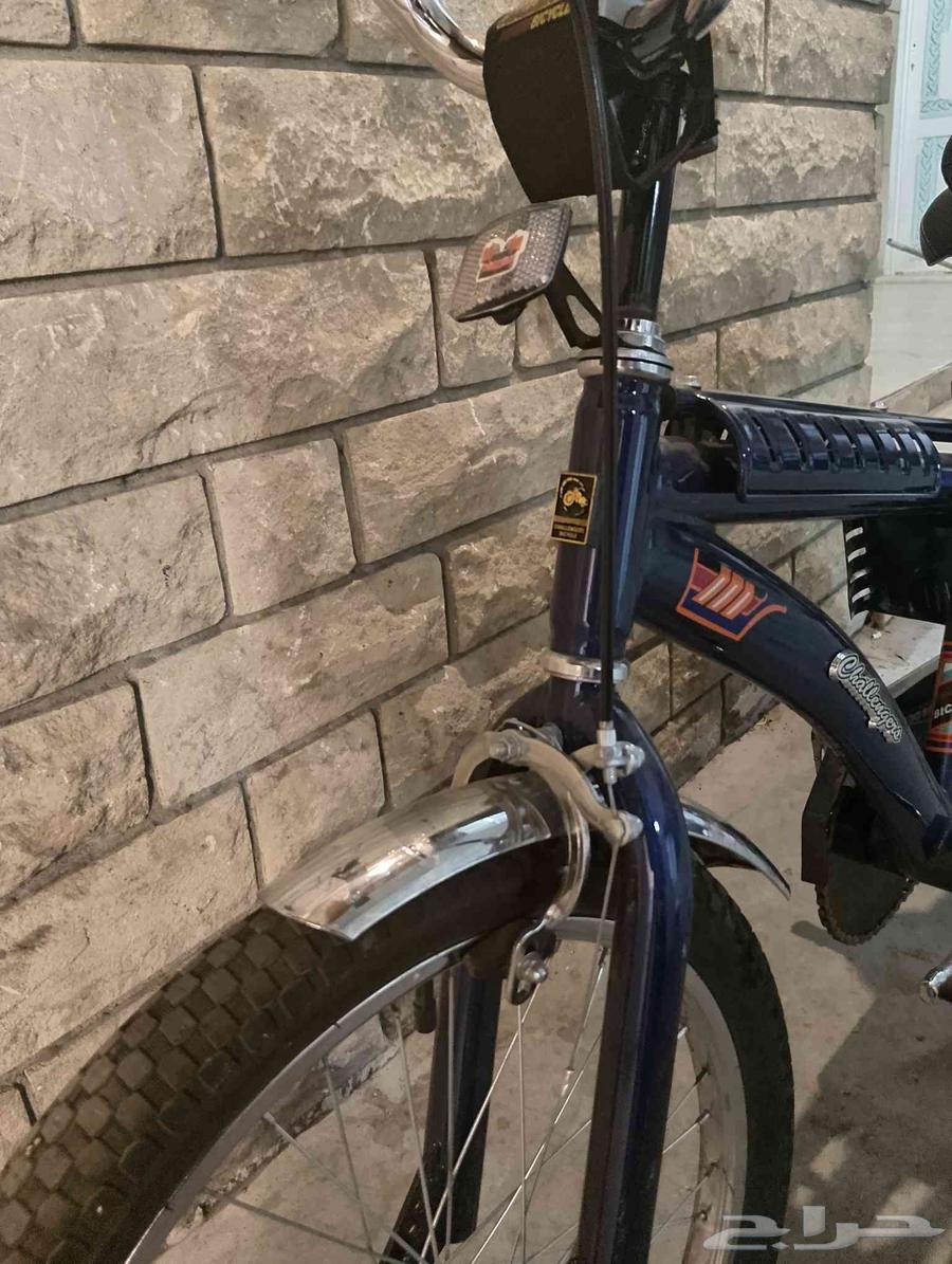 سيكل رامبو64251242735617112