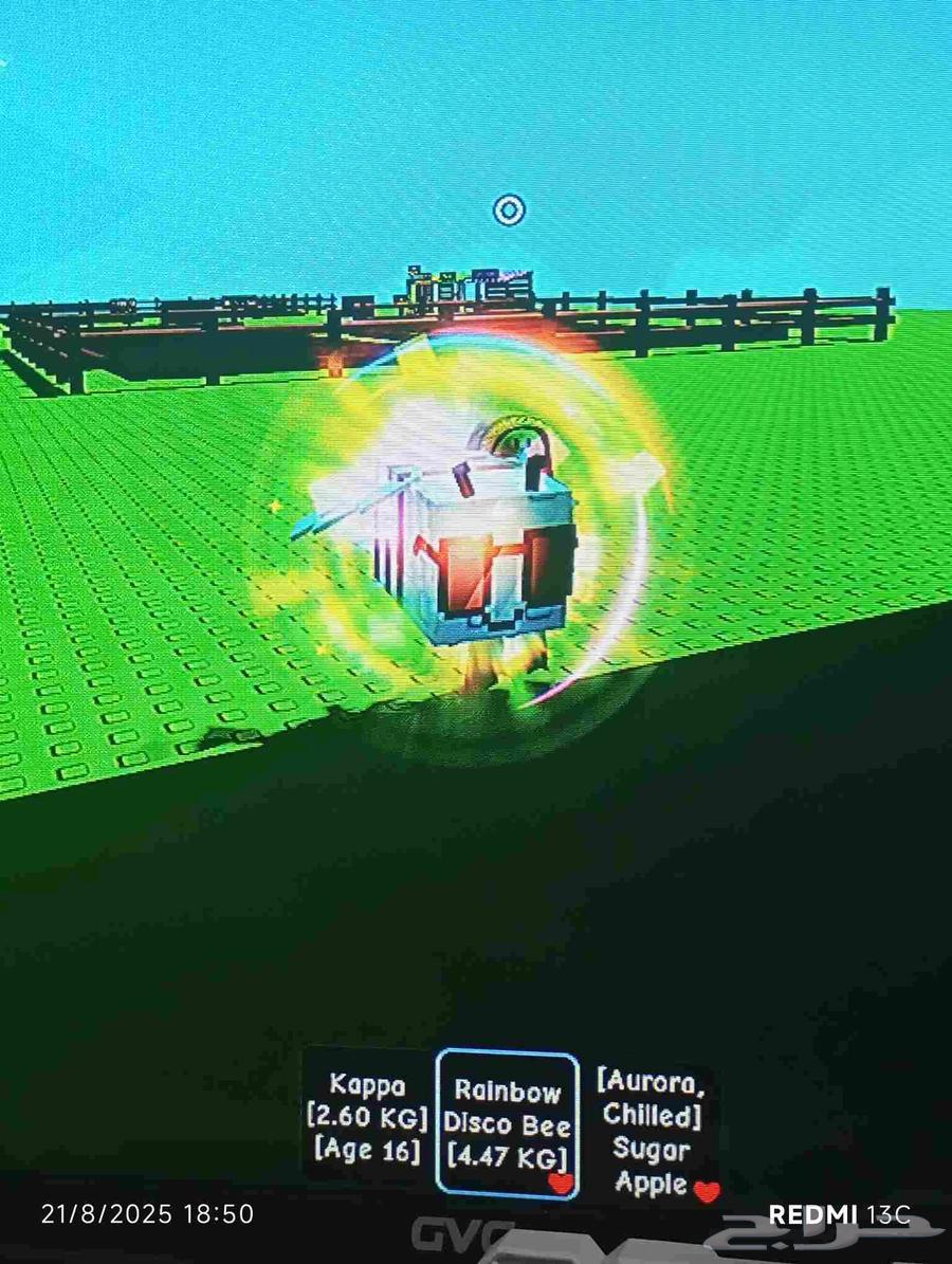 حيوانات جرو اجاردن للبيع تواصل واتس فقط تعالي واقولك64250059700866110