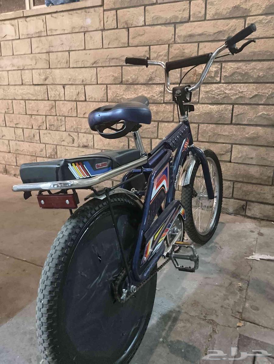 سيكل رامبو64251242735617113