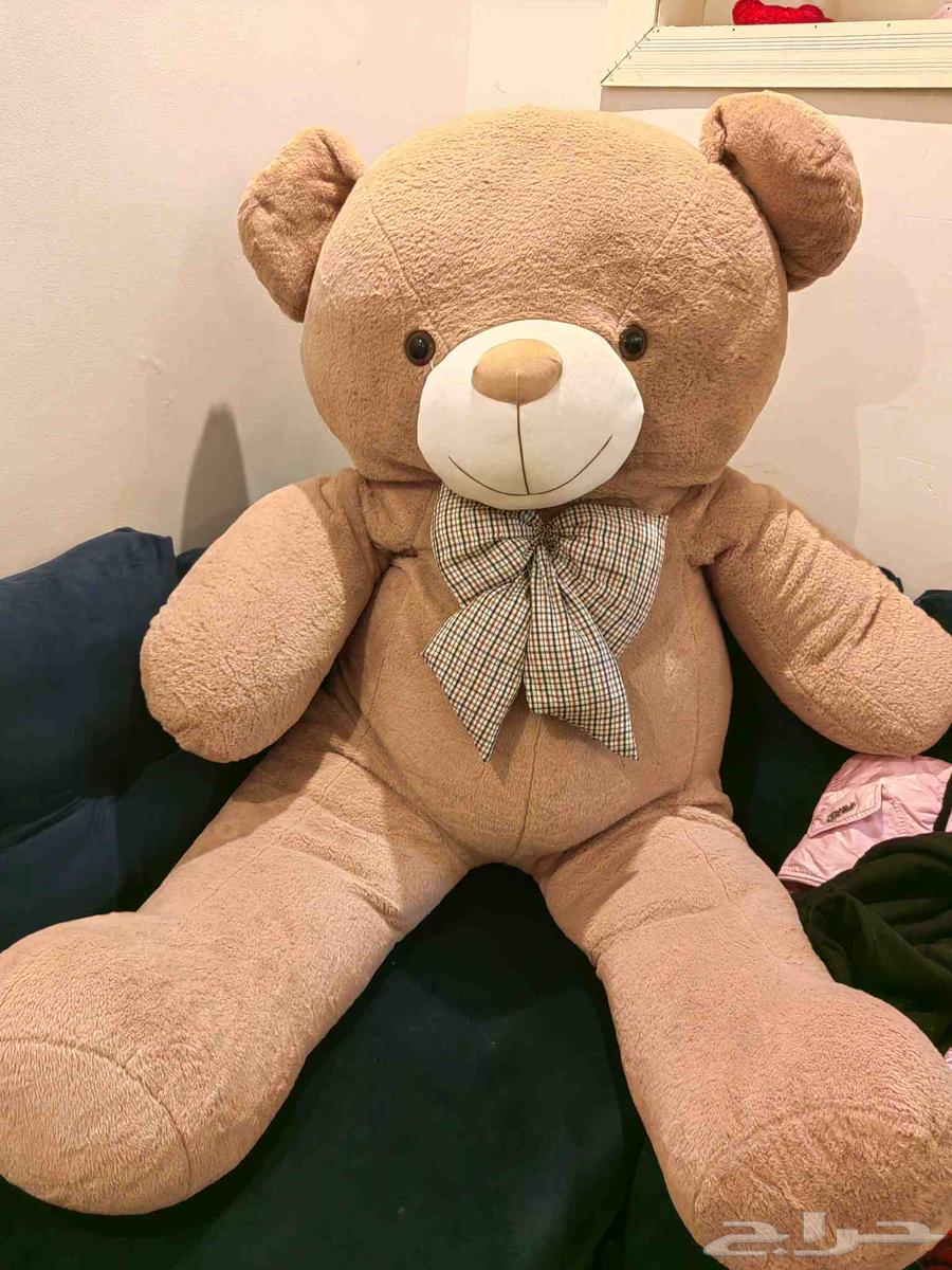 عفش للبيع64241410350977114