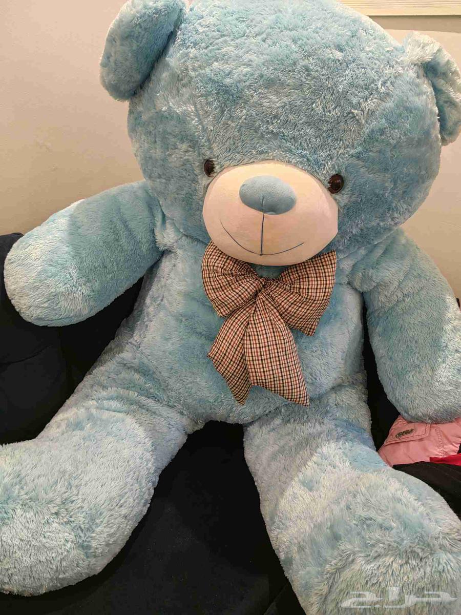 عفش للبيع64241410350977113