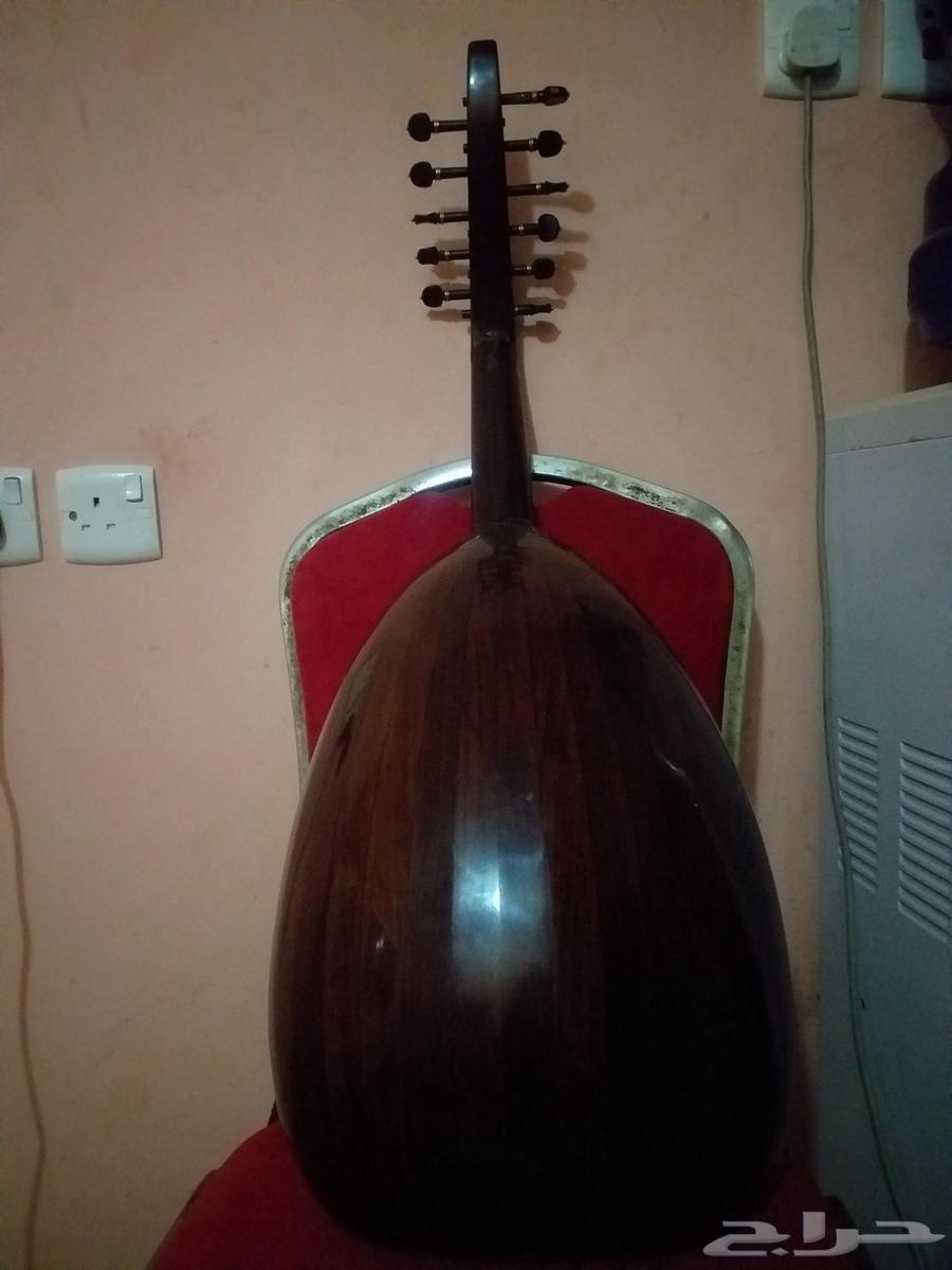 عود بحريني مستخدم نظيف صوتة جميل اوتارة لا باس بها64250753845633111