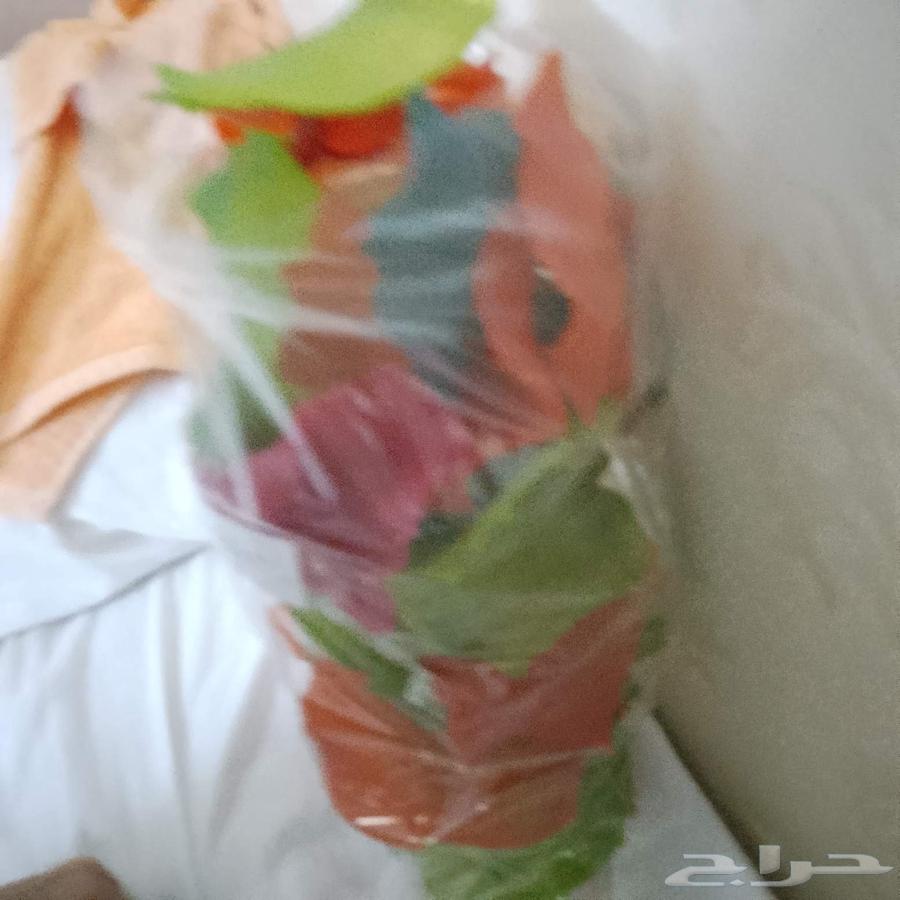 منفوش 50 قطعه64253136433922113