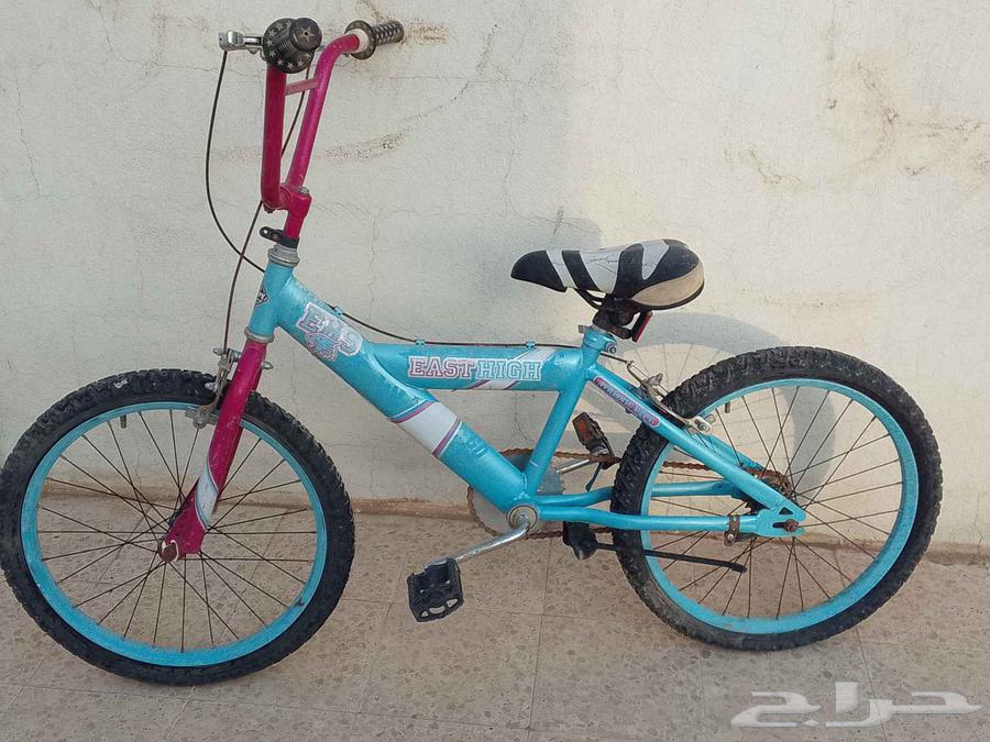 بيشه64248490190338113