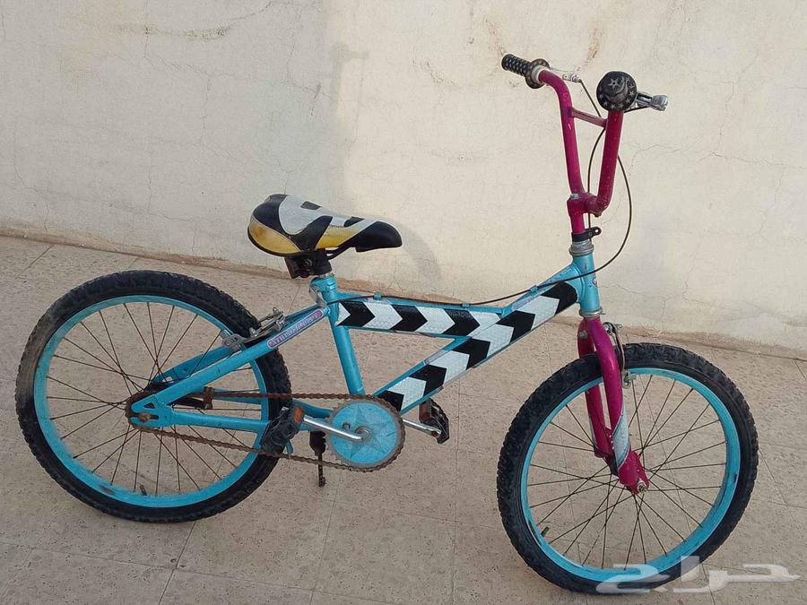 بيشه64248490190338110