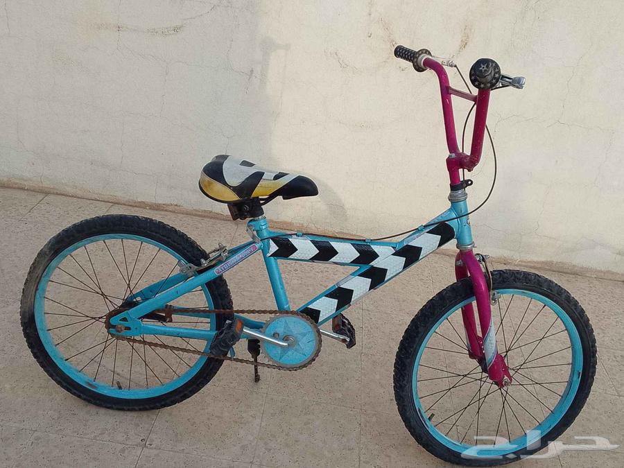 بيشه64248490190338111