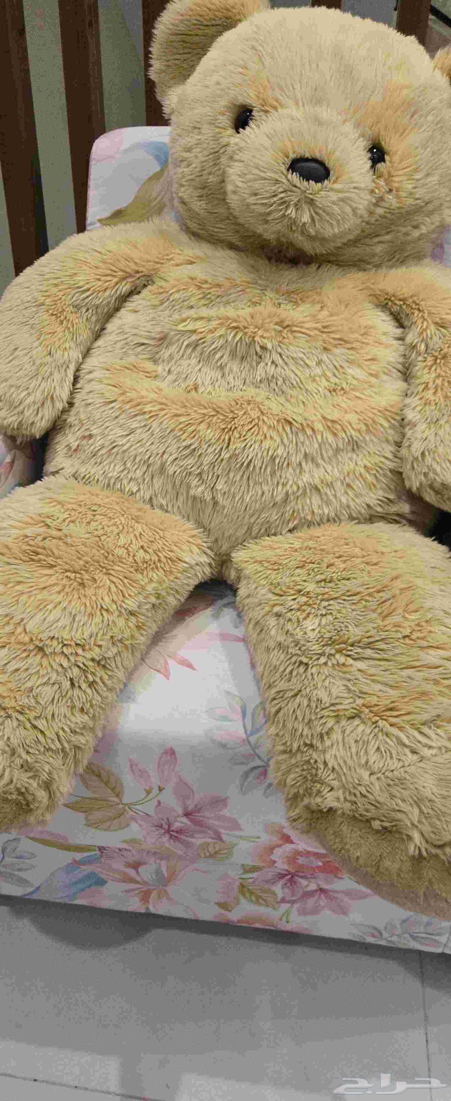 دمى العاب اطفال دبب64235175989762111