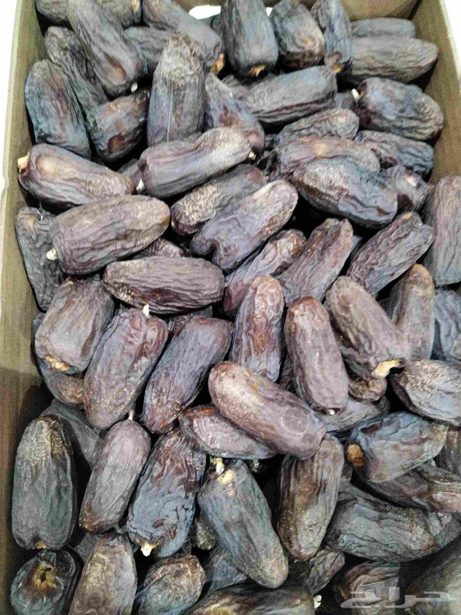 تمر عنبر للبيع64248093760898110