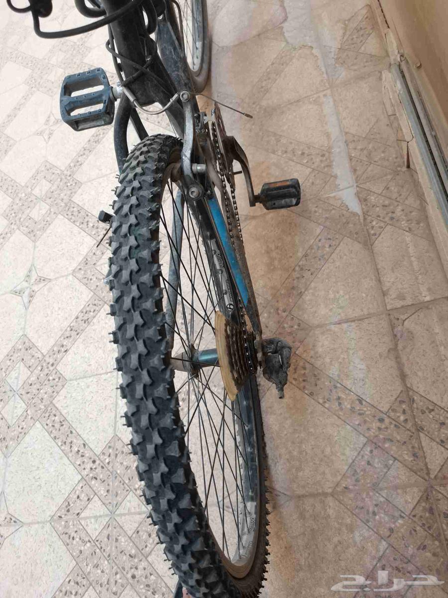 دراجه من ماركت ترك للبيع64244089675649113