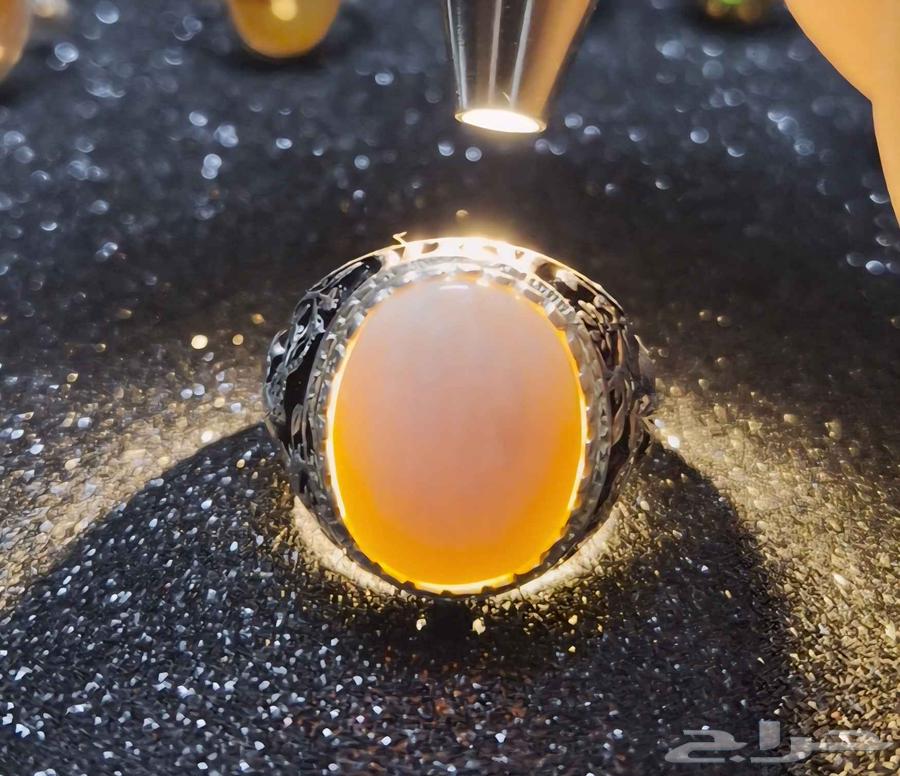 خاتم عاج فيل صياغة شريف64246299508610111