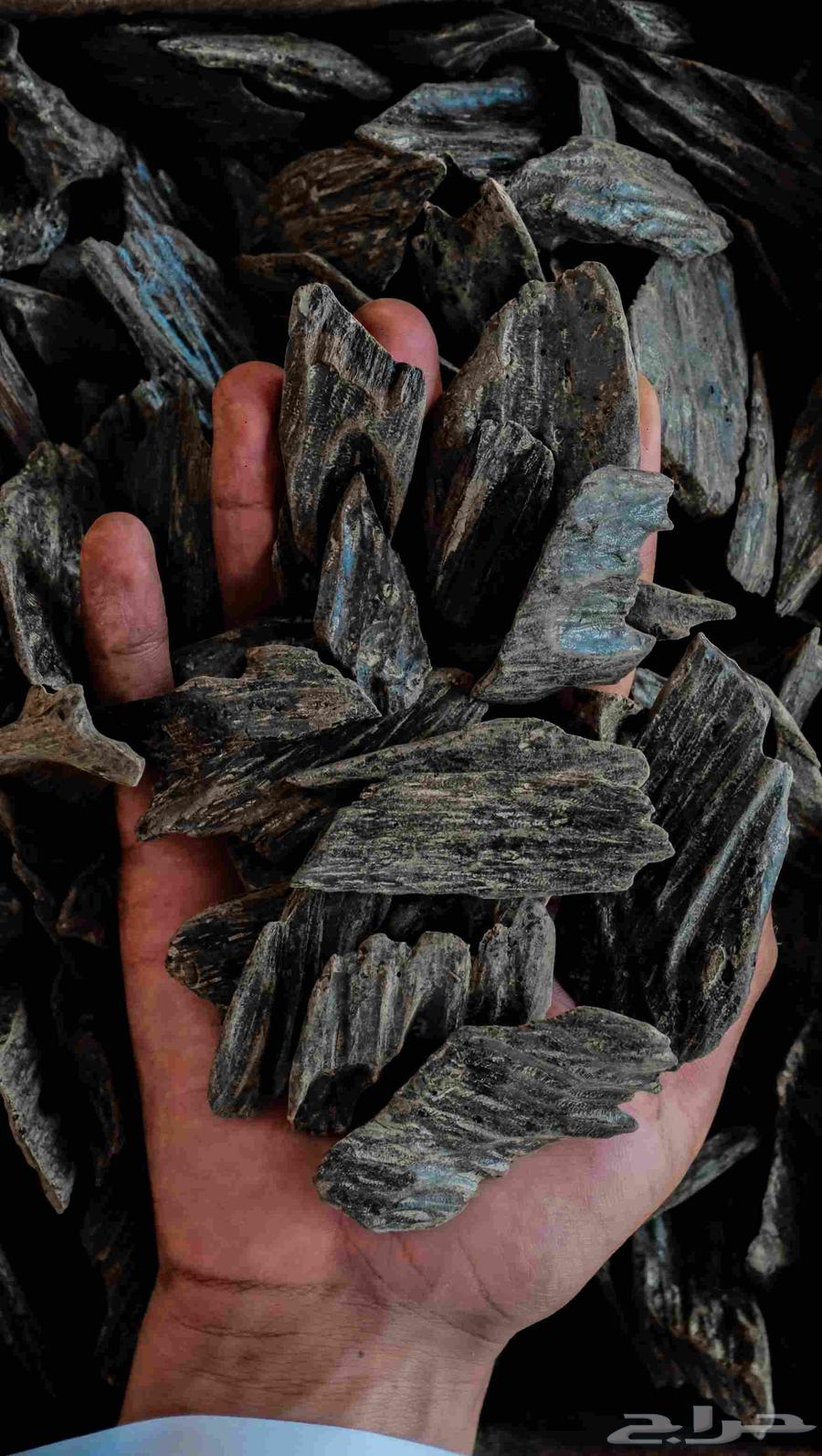 عود الكلمنتان الأزرق64244771983490110