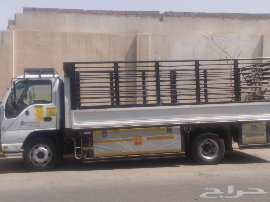 موجود دينا رياض في شغل دينا ابغاه دينا رياض كلم أنا64417890168706110