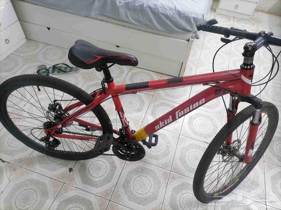 دورة تروس دمج الجلد 364249847608706111