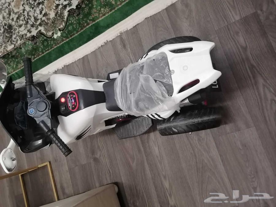 دباب للبيع مناسب للعمر ثلاث سنين وفوق64243011799553111