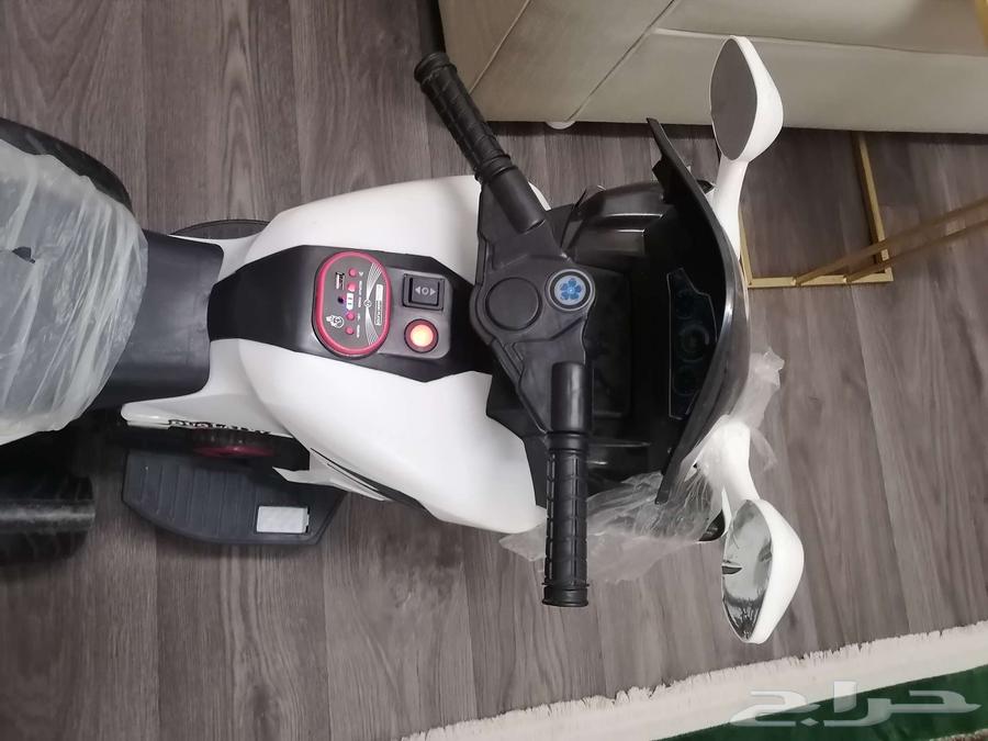 دباب للبيع مناسب للعمر ثلاث سنين وفوق64243011799553112