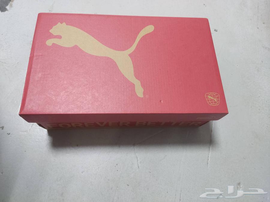 حذاء كرة قدم بوما اصلي جديد ما استخدمته puma64253136761091111