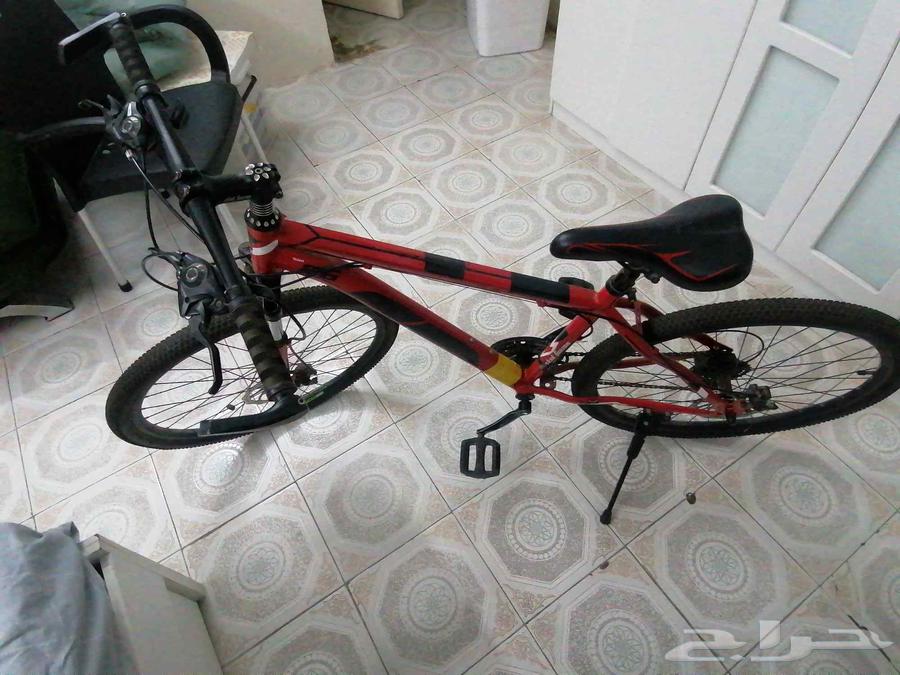 دورة تروس دمج الجلد 364249847608706110