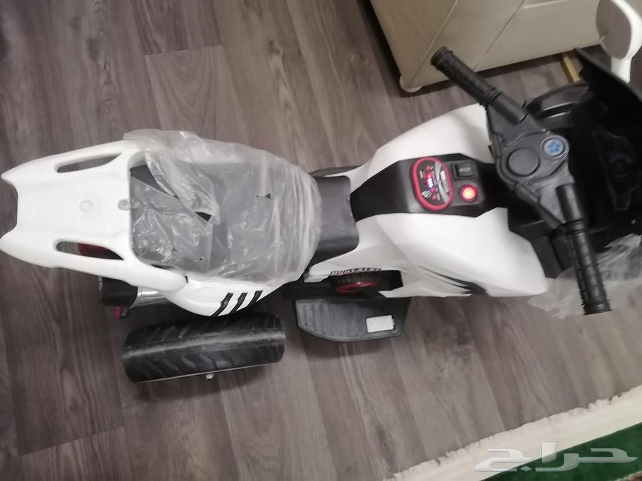 دباب للبيع مناسب للعمر ثلاث سنين وفوق64243011799553113