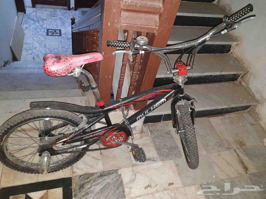 سيكل كوبرا مقاس 20 السيكل جديد64255827098882112