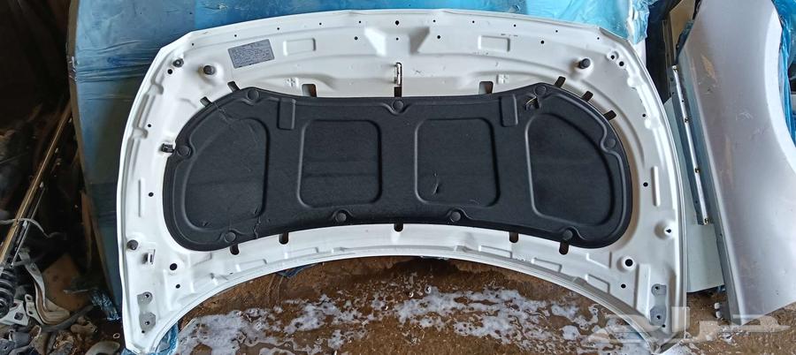 كبوت ازيره سوناتا اكسنت النترا كيا ماليبو64417494830722112