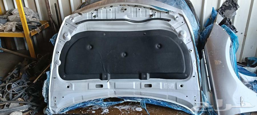 كبوت ازيره سوناتا اكسنت النترا كيا ماليبو64417494830722113