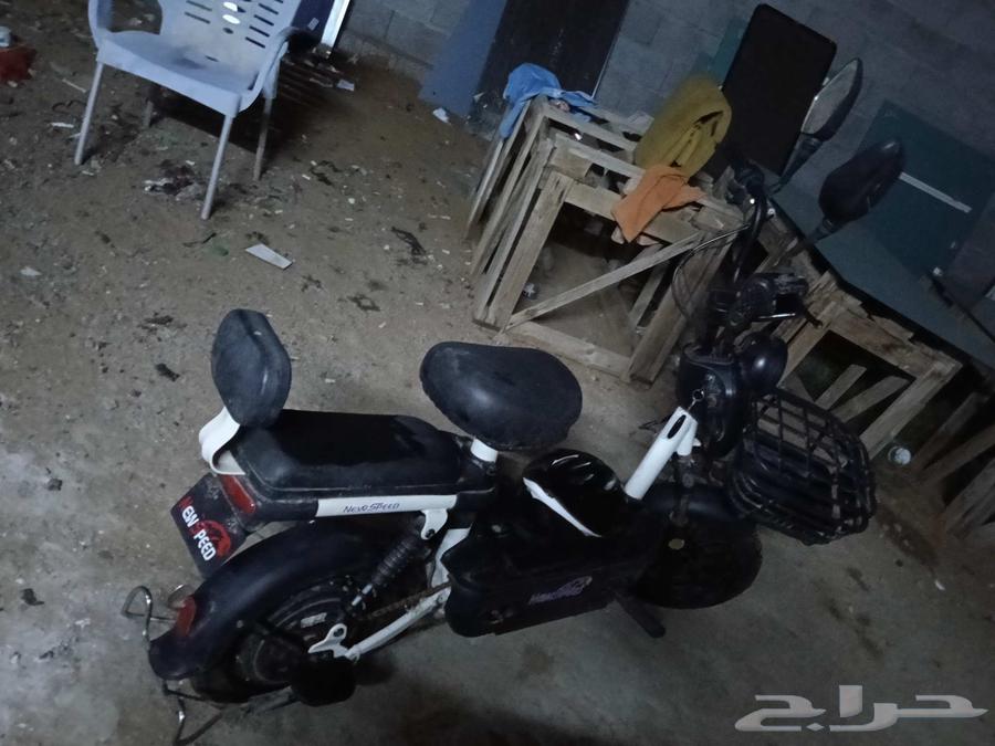 Scooter64243183232641110