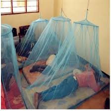 Single mosquito net64249847218434112