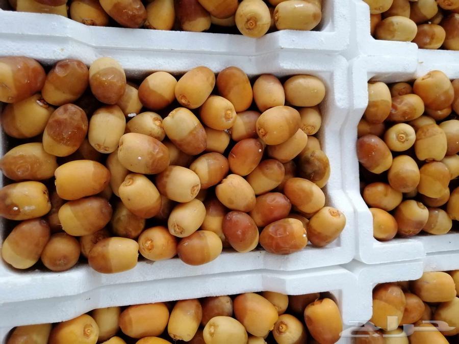 Premium Rothana Dates64249629804547111