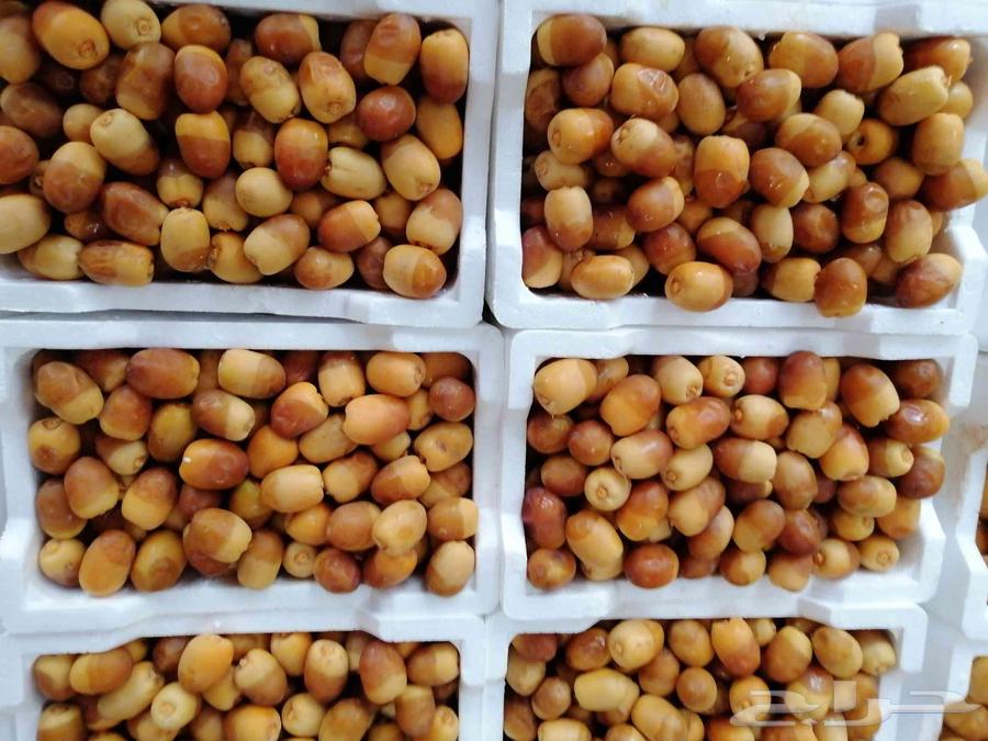 Premium Rothana Dates64249629804547112