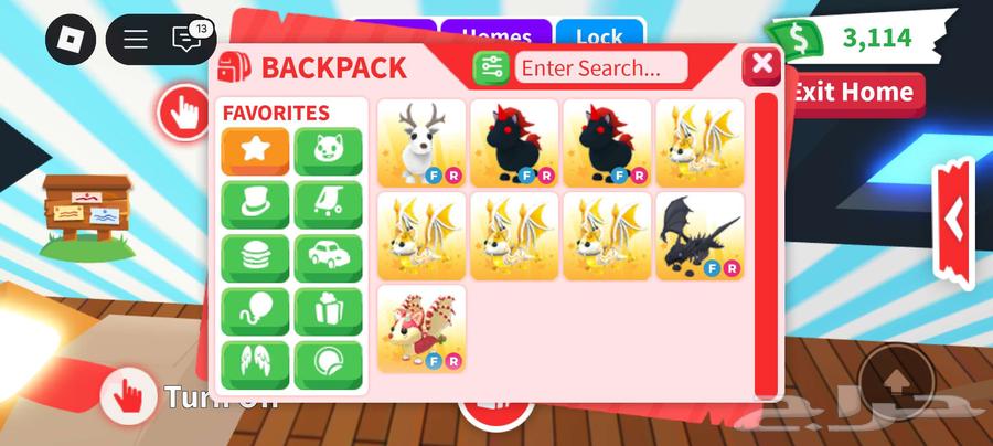 حيوانات للبيع ادوبت مي64247185340545110