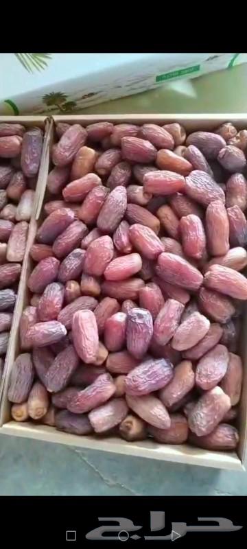 Premium Medjool Dates for Sale, Contact via Number64242090598273111