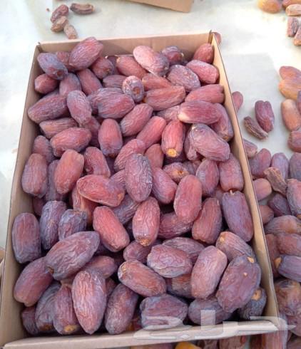 Premium Medjool Dates for Sale, Contact via Number64242090598273112