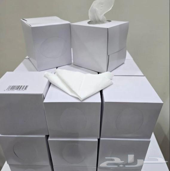 Square Box Tissues (24 packs × 100 single tissues) wholesale64246313010435110