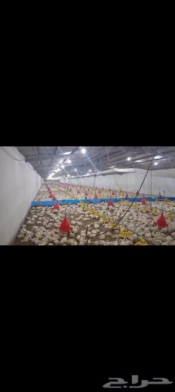 Sold after two weeks, quantity of 27 thousand will be available64242811818754110