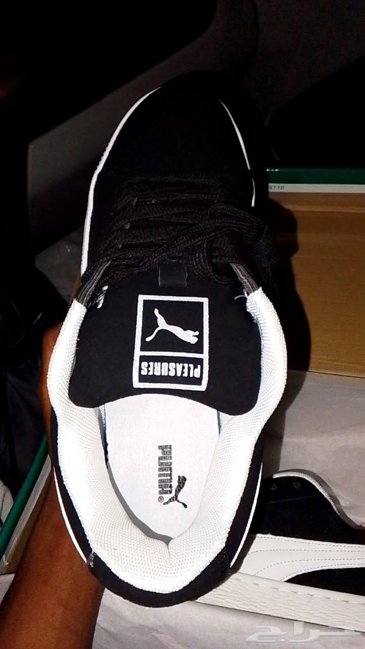 Hello and God's mercy and blessings, new Puma Master 44, earth post 4464233970212355112