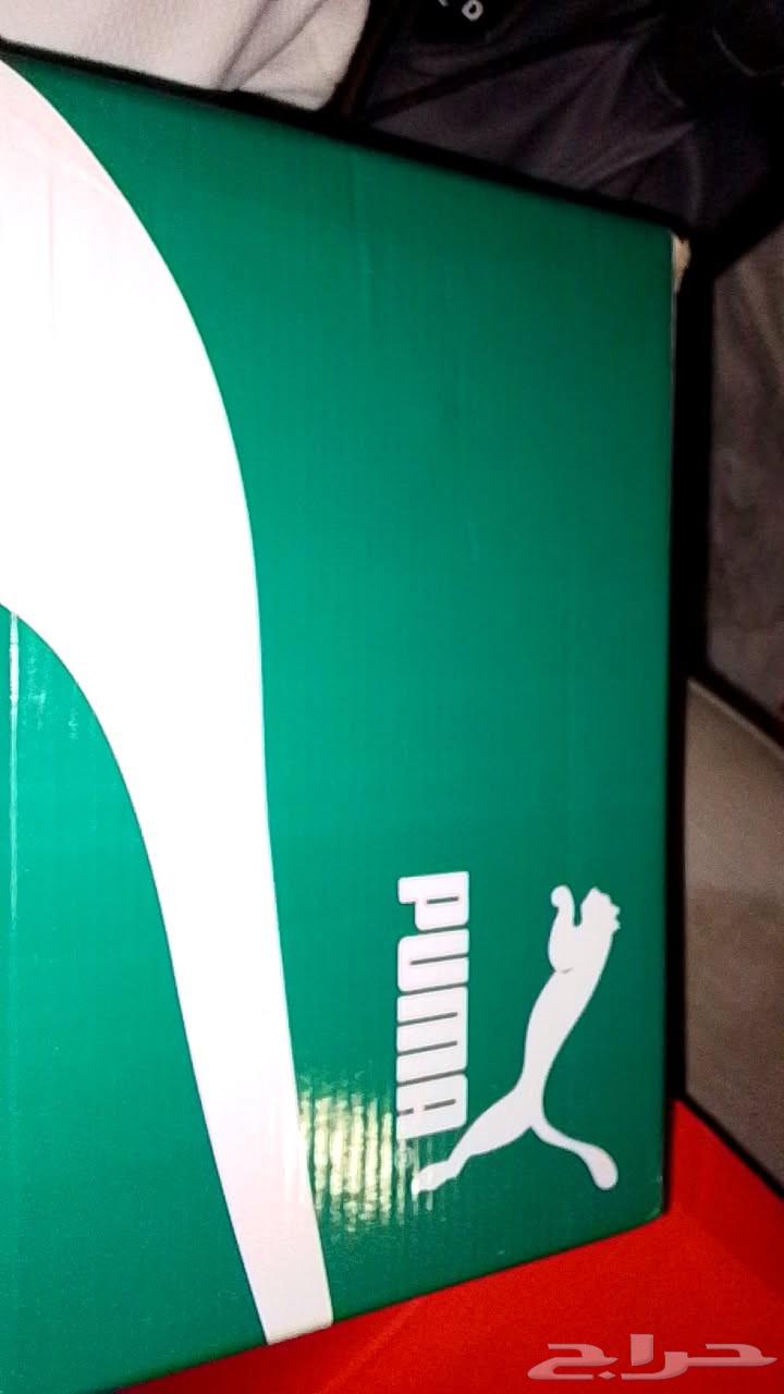 Hello and God's mercy and blessings, new Puma Master 44, earth post 4464233970212355110