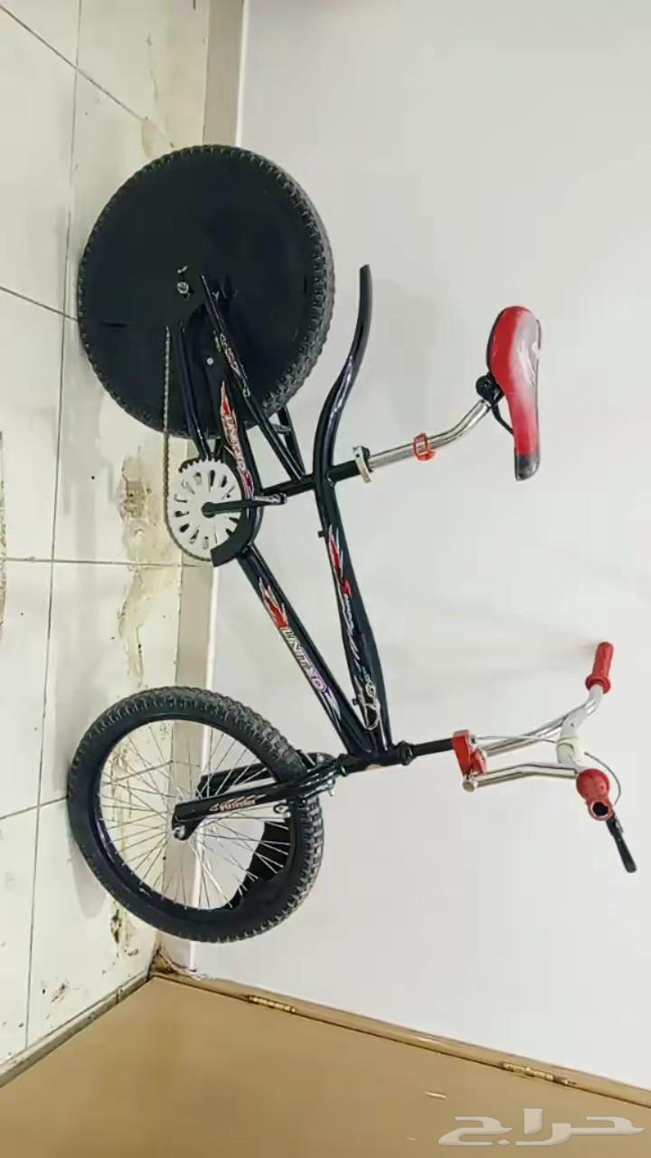 Hello and the mercy of God and His blessings, I present to you a new size 20 cobra64235176084610110