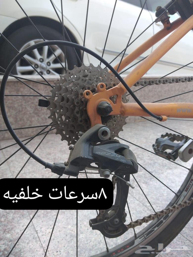 Sikl Performer64246299914113113