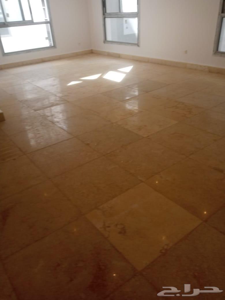 جلي وتلميع64417346066947113