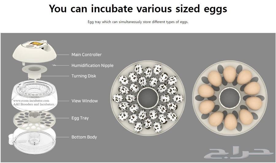 فقاسه rcom 10 pro الجديده تابي تمارا ويوجد توصيل مجاني64245969302914112