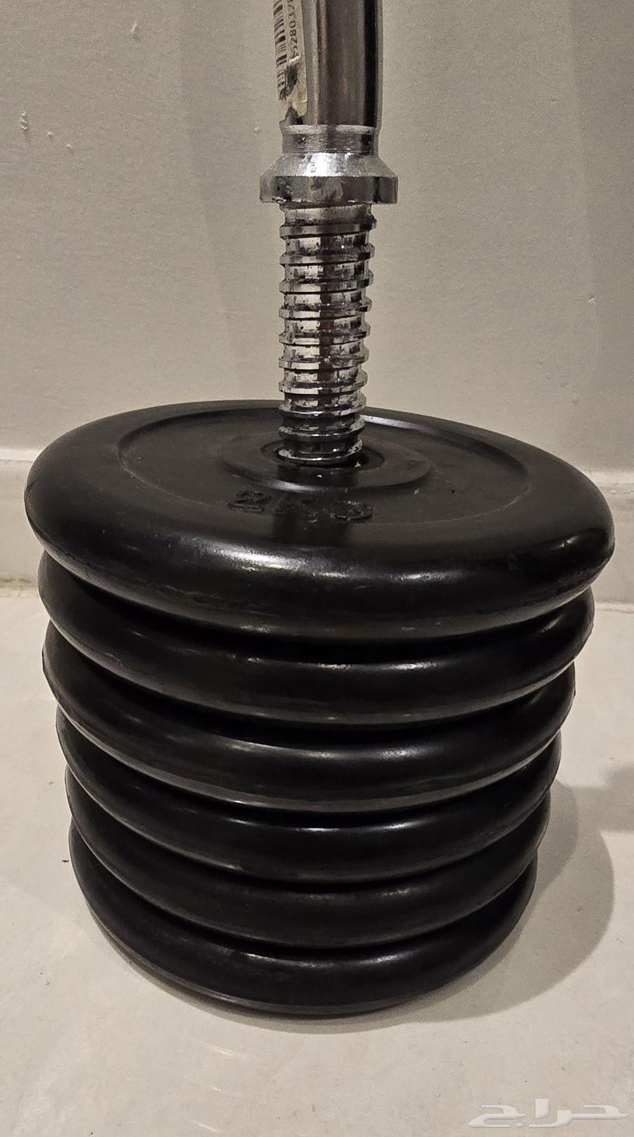 30 kg Weights and Curved Bar64246299577731113