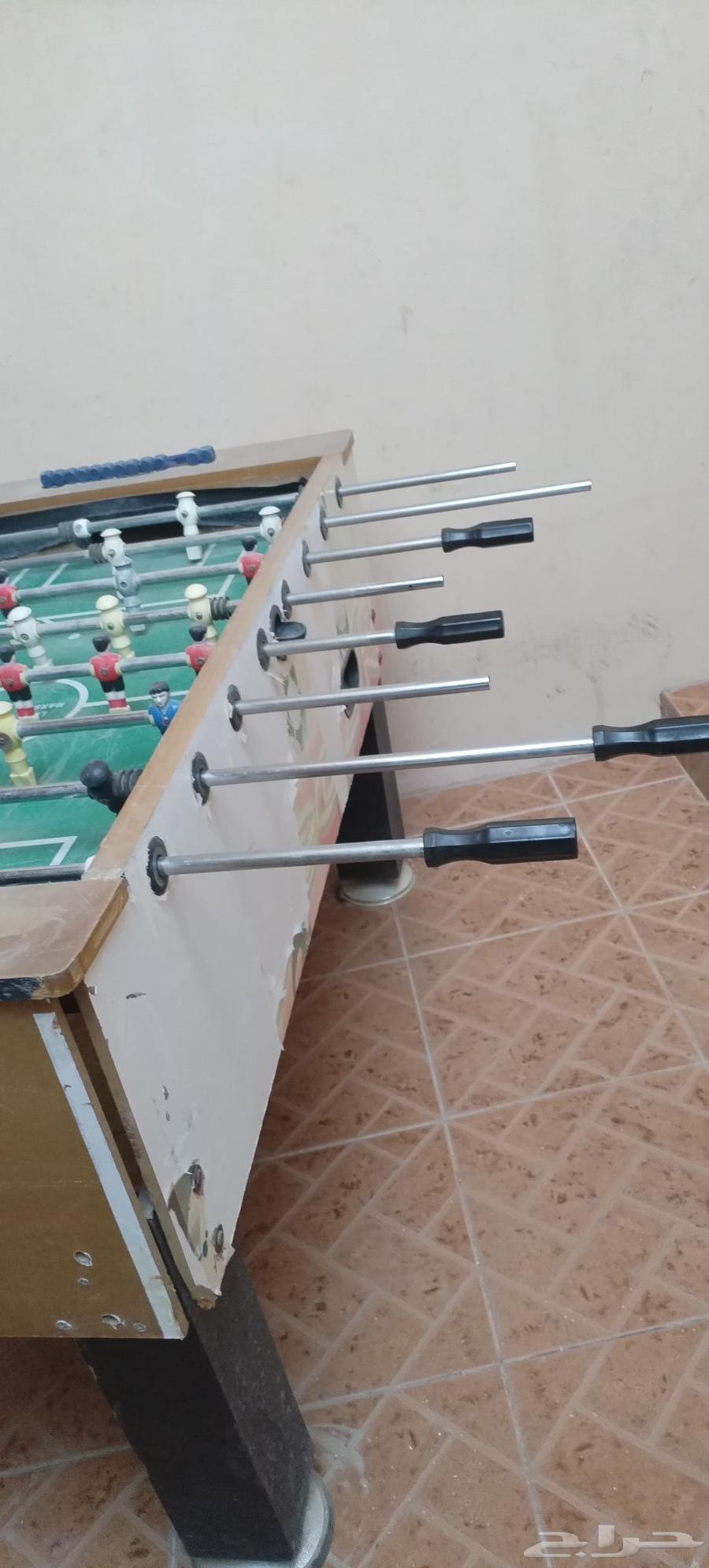 فرفيرة للبيع64239385382274113