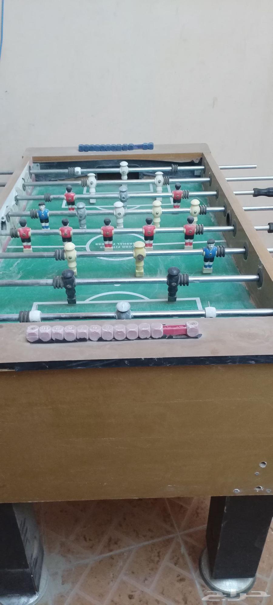 فرفيرة للبيع64239385382274111