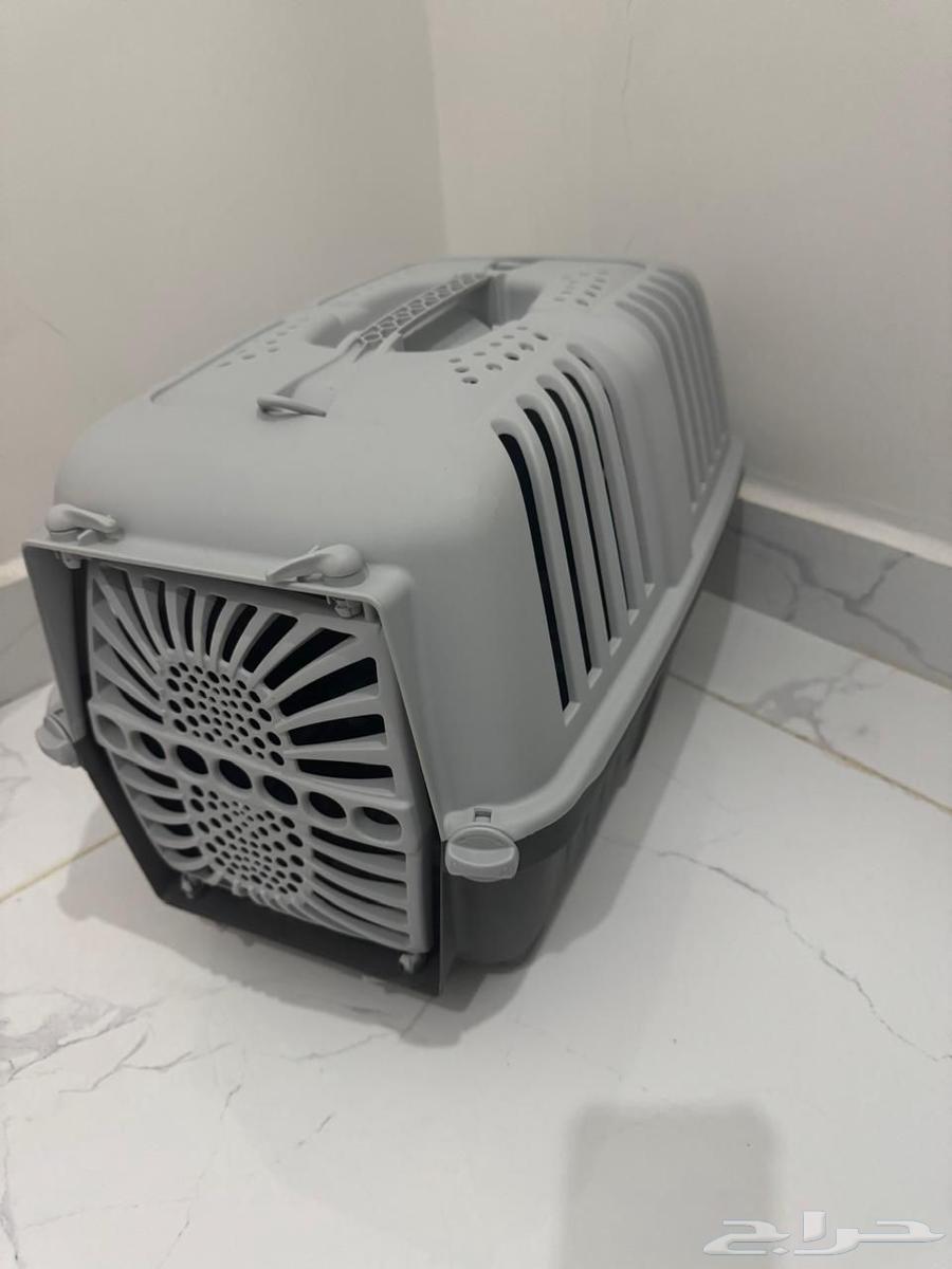 قطة للبيع64245640602498113