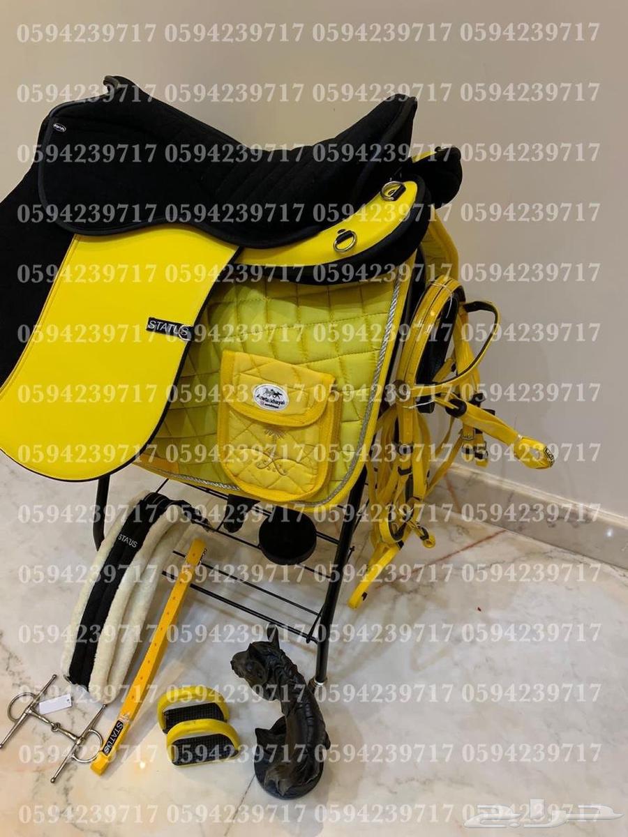 سرج ستيتوس الاصلي هندي64250426920962113