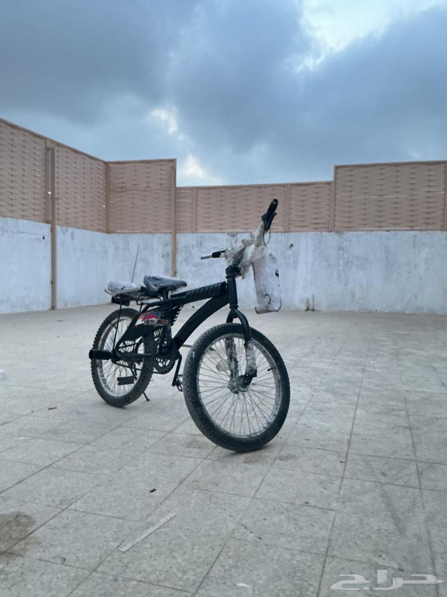 رامبو للبيع64243356198403111